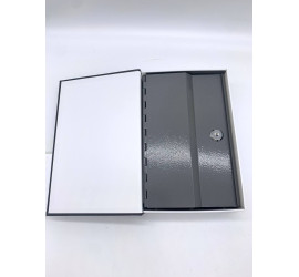 Книга сейф Book Safe Словарь (16)