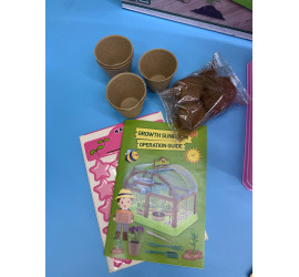 Набор для опытов Домашняя теплица Home made plant PINK (10)