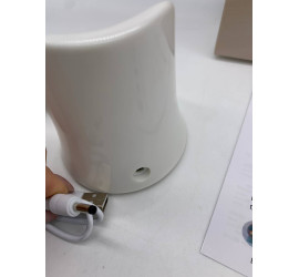Микротоковый массажер для лица Модель7 Radio Frequency Instrument (30)