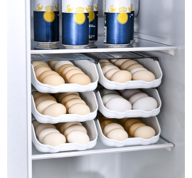 Контейнер для хранения яиц Egg storage box (40)
