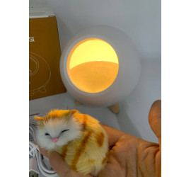Ночник котенок в домике Cat House (60)