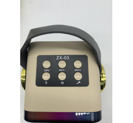 Караоке, мини колонка с двумя микрофонами Music with karaoke Bluetooth ZX-03 WHITE (40)