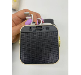 Караоке, мини колонка с двумя микрофонами Music with karaoke Bluetooth ZX-03 WHITE (40)