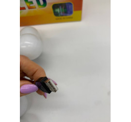 Гирлянда светодиодная 20 шт 5 м WARM Bulbs Теплый цвет, работает от  USB  (20)