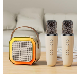 Караоке, мини колонка с двумя микрофонами Bluetooth (40)