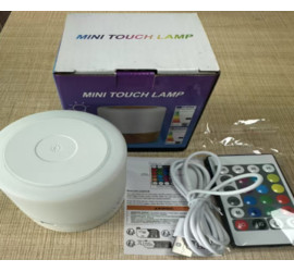 Настольная LED лампа ночник Mini touch lamp (100)