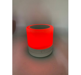 Настольная LED лампа ночник Mini touch lamp (100)