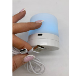 Настольная LED лампа ночник Mini touch lamp (100)