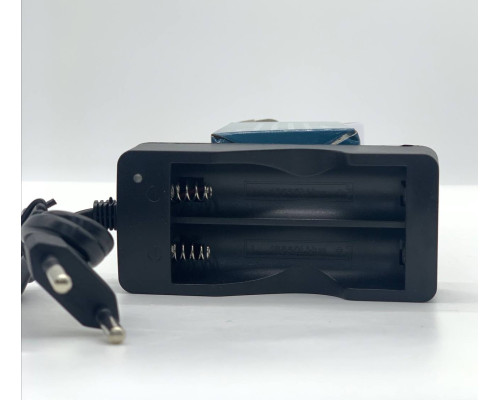 Зарядное устройство 220В 2x18650 MS-202A (200)