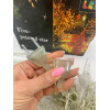 Гирлянда Штора ЦВЕТНАЯ с формами колокольчик, елка, олень 12 PCS light (30)