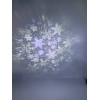 Garden Projector Card change 12 слайдов с пультом № ZP1 (24)