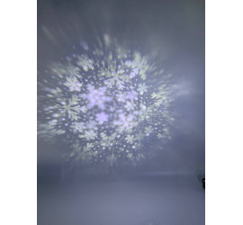 Garden Projector Card change 12 слайдов с пультом № ZP1 (24)