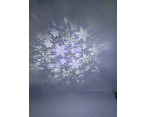 Garden Projector Card change 12 слайдов с пультом № ZP1 (24)