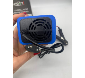 Импульсное зарядное устройство для аккумуляторов 12V 10A (50)
