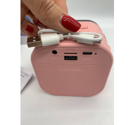 Караоке, мини колонка с двумя микрофонами system K12 PINK (40)