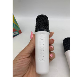 Портативная Bluetooth колонка K18 с двумя микрофонами RGB WHITE (40)