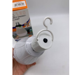 Лампочка аккумуляторная CK8039 светодиодная 20 W E27 3 аккумулятора (50)