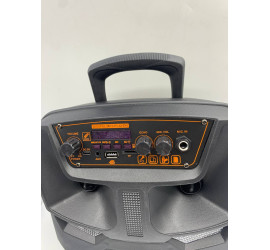 Портативная колонка Kimiso QS-5805 8inch с микрофоном и светомузыкой (8)