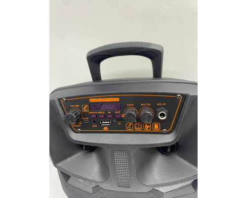 Портативная колонка Kimiso QS-5805 8inch с микрофоном и светомузыкой (8)