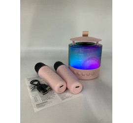 Портативная Bluetooth колонка K19 с двумя микрофонами RGB PINK (40)
