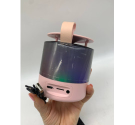 Портативная Bluetooth колонка K19 с двумя микрофонами RGB PINK (40)