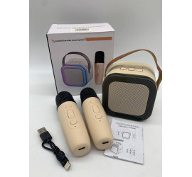 Караоке, мини колонка с двумя микрофонами system K12 WHITE (40)