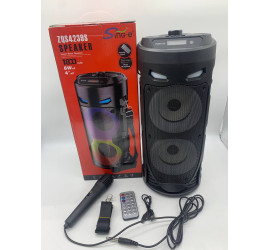 Портативная колонка Sing-e ZQS4239 с микрофоном и светомузыкой (12)