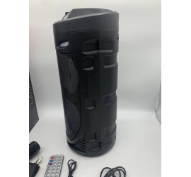 Портативная колонка Sing-e ZQS4239 с микрофоном и светомузыкой (12)