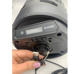 Портативная колонка Sing-e ZQS4239 с микрофоном и светомузыкой (12)