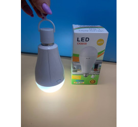 Лампочка аккумуляторная CK8039 LED E27 18650 20W (100)