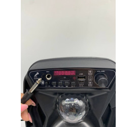 Портативная колонка Kimiso QS-3603 6.5inch с микрофоном и светомузыкой (10)