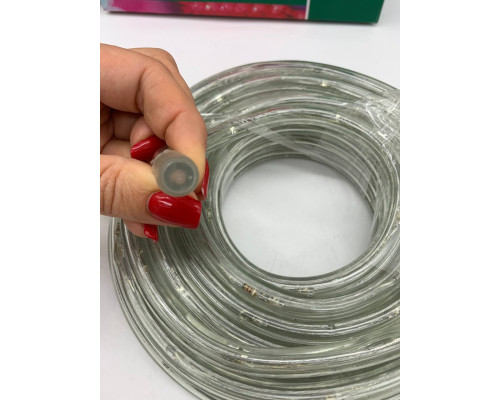 Шланг 10 метров МУЛЬТИК Xmas Rope Light (20)