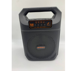 Портативная колонка Kimiso QS-3607 6.5inch с микрофоном и светомузыкой (20)
