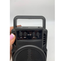 Портативная колонка Greatnice GTS-1360 (80)