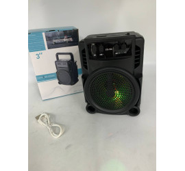 Портативная колонка Greatnice GTS-1360 (80)