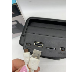 Портативная колонка Greatnice GTS-1360 (80)