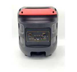 Портативная колонка RX-8130A  со светомузыкой (12)