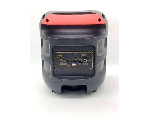 Портативная колонка RX-8130A  со светомузыкой (12)