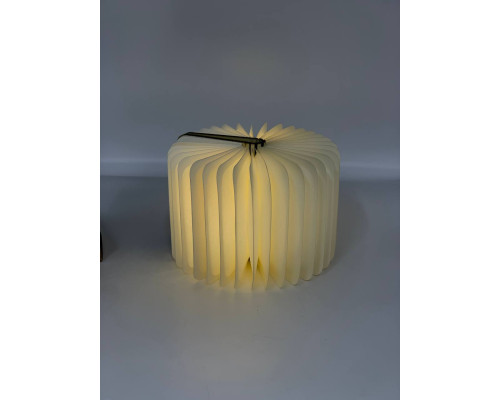 Настольная лампа-книга Foldable Book Lamp 12*9 (120)