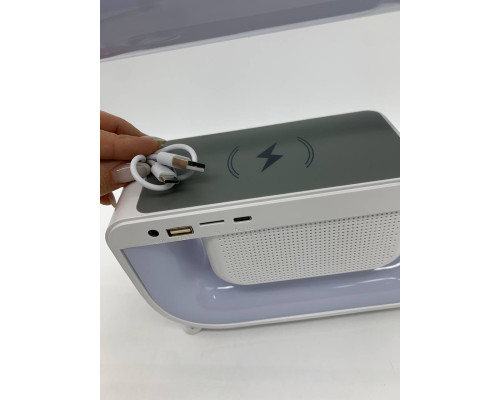 Ночник аккумуляторный G 3 WHITE (24)
