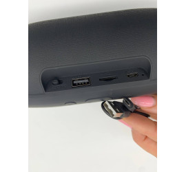 Портативная колонка Charge Mini 4 BLACK (100)
