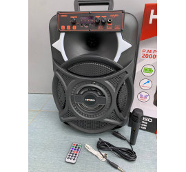 Портативная колонка Kimiso QS-1203 12inch с микрофоном и светомузыкой (4)