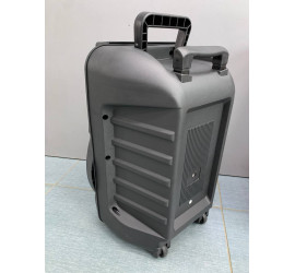 Портативная колонка Kimiso QS-1203 12inch с микрофоном и светомузыкой (4)