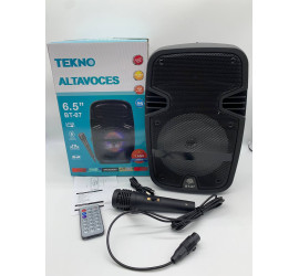 Портативная колонка Tekno altavoces 6.5" с микрофоном и светомузыкой (12)