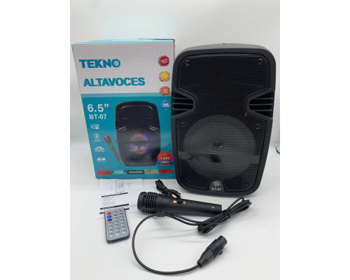 Портативная колонка Tekno altavoces 6.5" с микрофоном и светомузыкой (12)