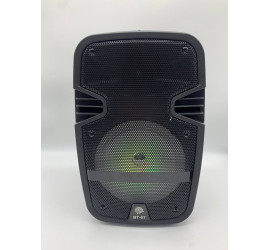 Портативная колонка Tekno altavoces 6.5" с микрофоном и светомузыкой (12)