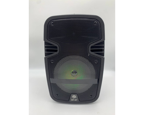 Портативная колонка Tekno altavoces 6.5" с микрофоном и светомузыкой (12)