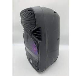 Портативная колонка Tekno altavoces 6.5" с микрофоном и светомузыкой (12)