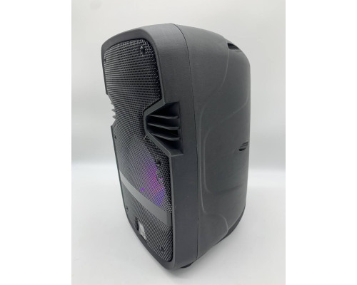 Портативная колонка Tekno altavoces 6.5" с микрофоном и светомузыкой (12)