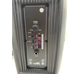 Портативная колонка Tekno altavoces 6.5" с микрофоном и светомузыкой (12)